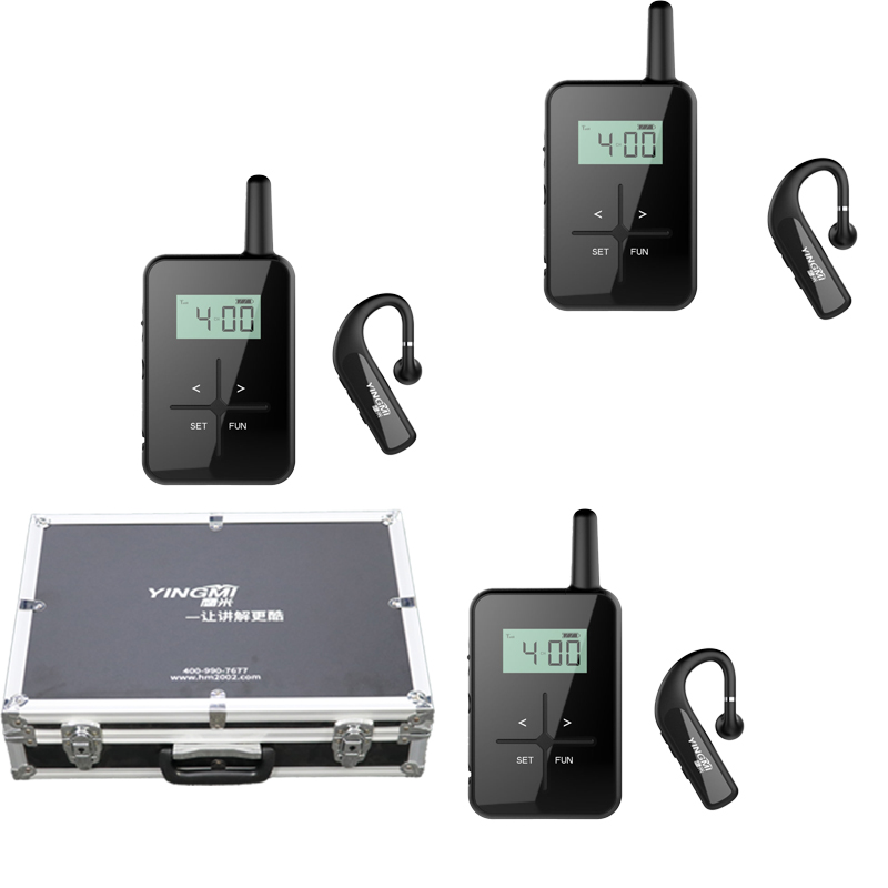 audio guide micrphone R8