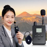 Wireless Ear-hook Tour Guide System for Europe With Charging Case